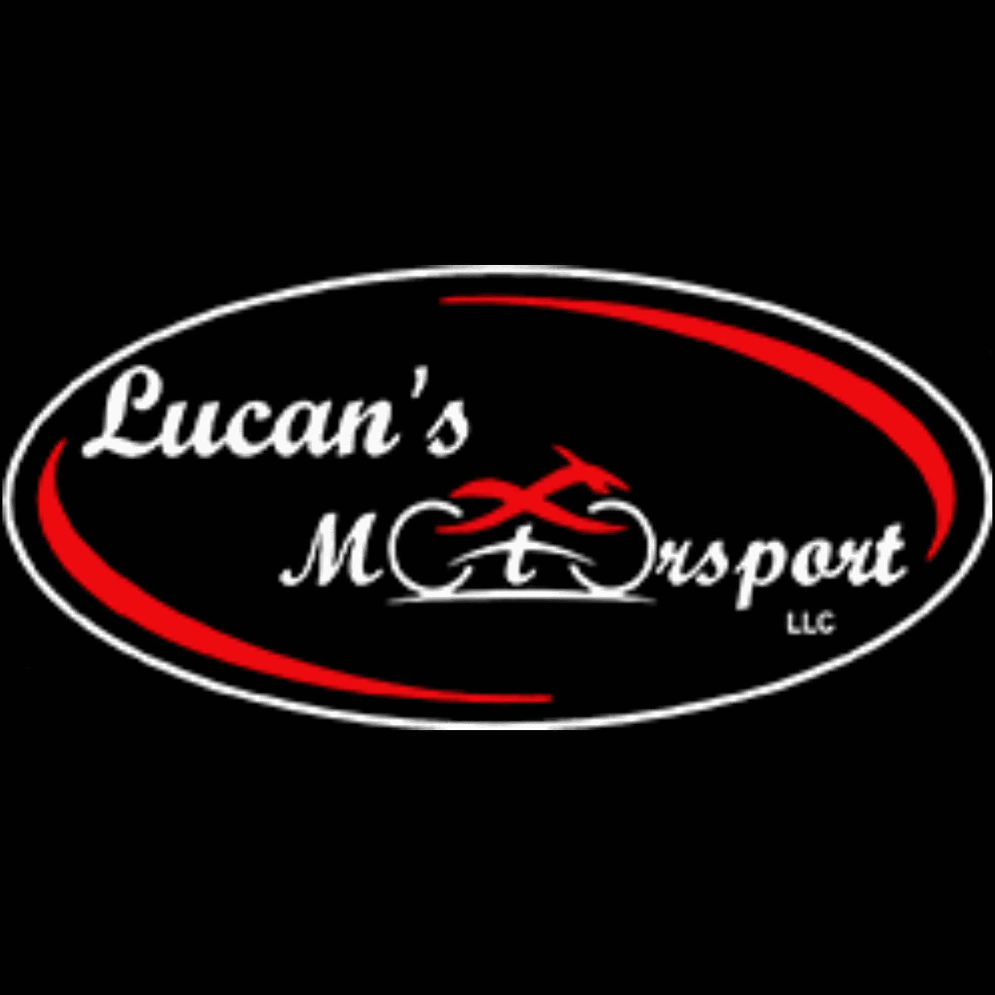Lucan's Motorsport LLC Electric Cycle Rider