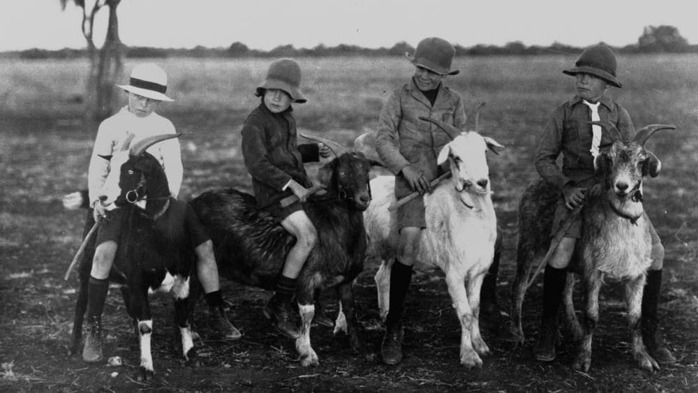 Vintage Kawasaki Bex robotic goat motorcycles.